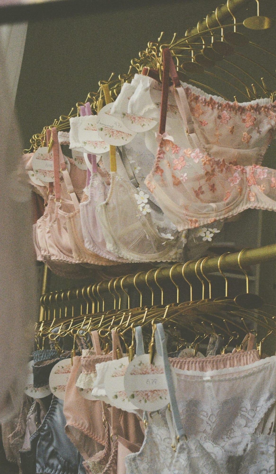 Reggiseni ricamati e culotte in tinte pastello appesi a grucce dorate, con i cartellini delle taglie